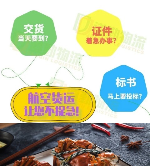 杭州到哈爾濱航空貨運(yùn)